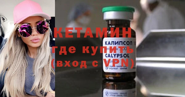 шишки Абаза