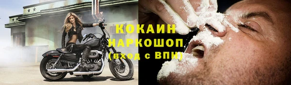 шишки Абаза