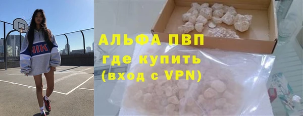 шишки Абаза