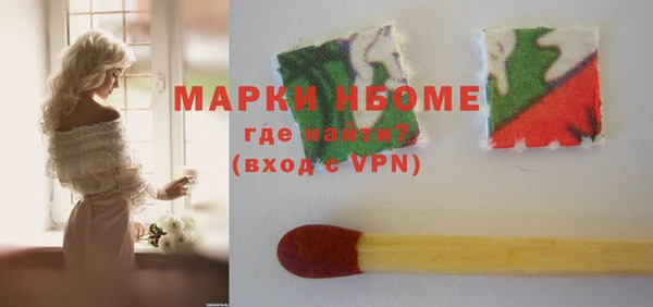 шишки Абаза