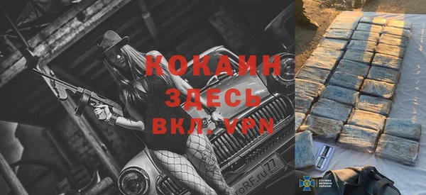 шишки Абаза