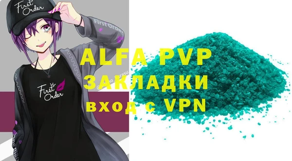 шишки Абаза